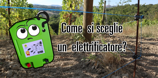 Quale elettrificatore scegliere per il tuo recinto elettrico nel vigneto?