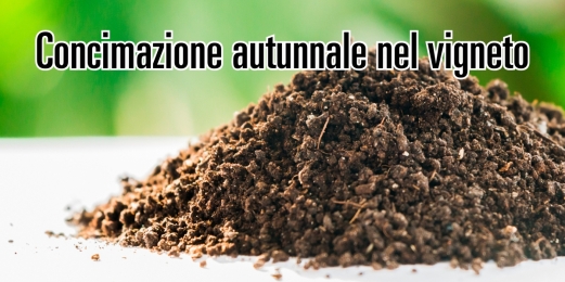 Nutrizione post vendemmia: si o no? L’importanza della concimazione autunnale